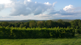 20170805_182158.jpg