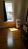 20170801_131955.jpg