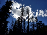 20170915_143749.jpg