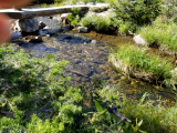 20170915_145913.jpg