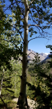20170915_162111.jpg