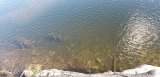 20170915_165752.jpg