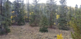 20170917_104756.jpg