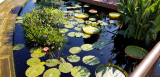 20171005_105104.jpg
