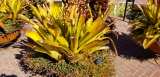 20171005_105631.jpg