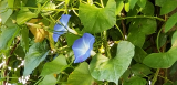20171005_121815.jpg