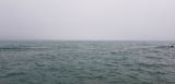 20171006_141052.jpg