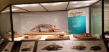 20171007_153047.jpg