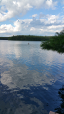 20170715_174900.jpg