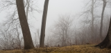20190405_182858.jpg