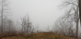 20190405_182900.jpg