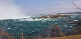 20190406_151900.jpg