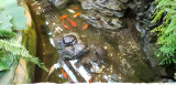 20190406_153840.jpg