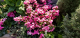 20190406_154119.jpg