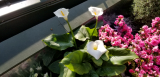 20190406_154139.jpg