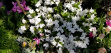 20190406_154210.jpg