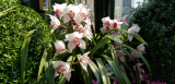 20190406_154232.jpg