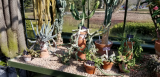 20190406_154459.jpg