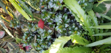 20190406_154547.jpg