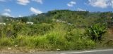 20180430_140824.jpg