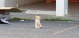 20180502_181045.jpg