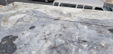 20180503_083943.jpg