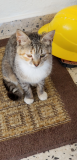 20180504_094339.jpg