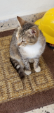 20180504_094346.jpg
