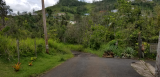 20180504_124335.jpg